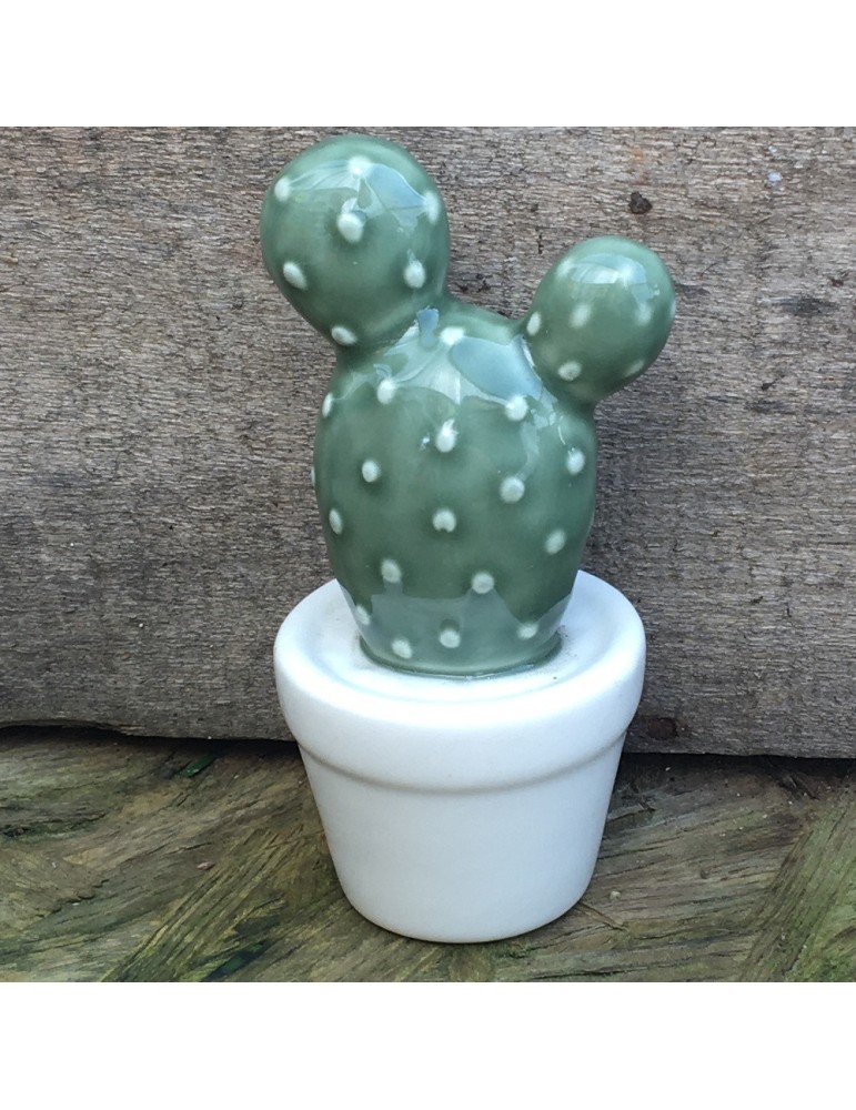 cactus N4 D6xH11