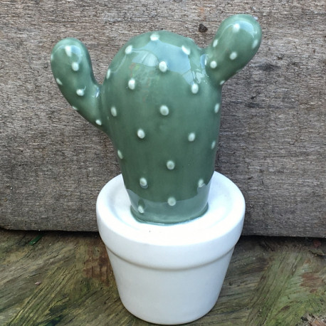 cactus N1 D6.5xH10.5