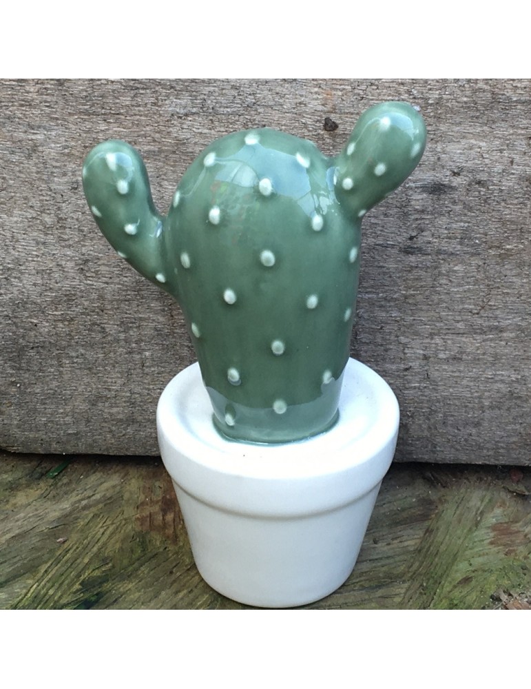 cactus N1 D6.5xH10.5