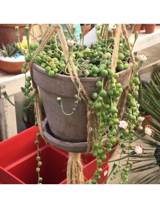 suspension macramé seul