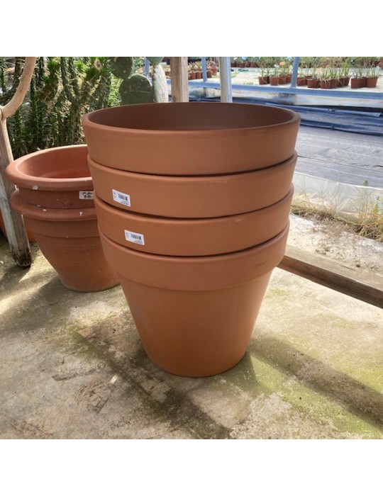 Pot standard D9 cm