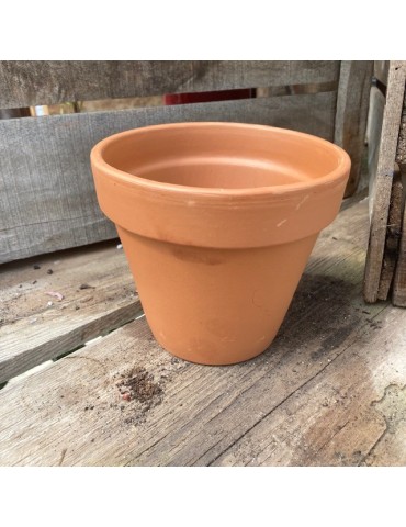 Pot standard ancestral D21