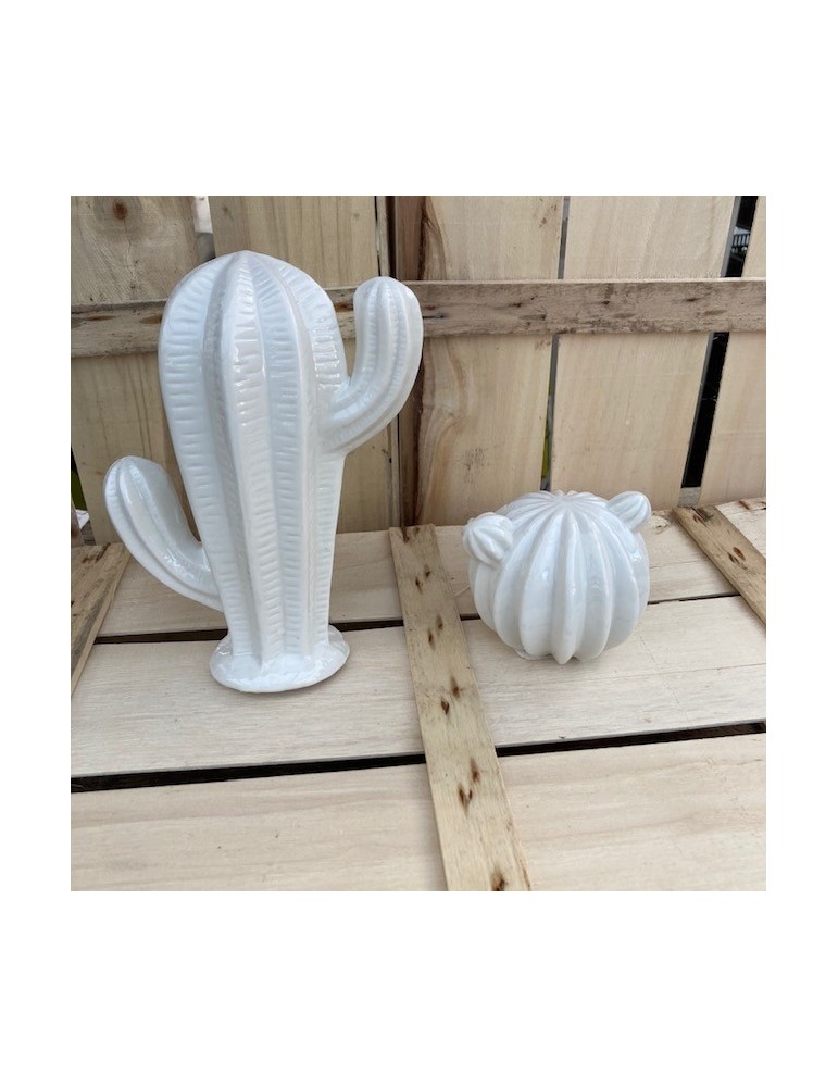 cactusduo sujet blanc