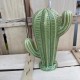 cactusduo sujet vert N7