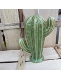 cactusduo sujet vert N7