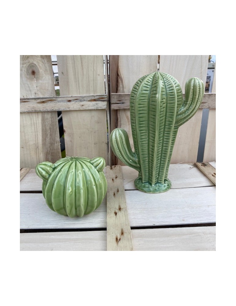cactusduo sujet vert 