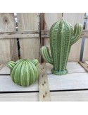 cactusduo sujet vert 