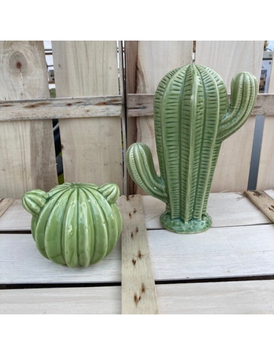 cactusduo sujet vert