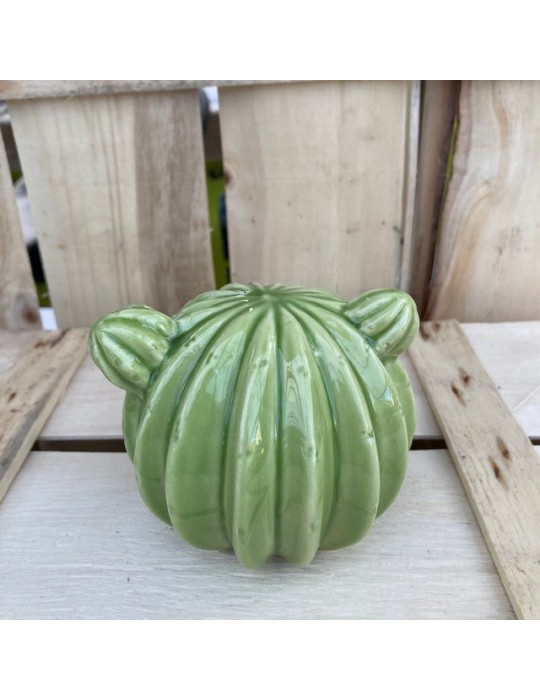 cactusduo sujet vert N5 cactusduo sujet vert N5