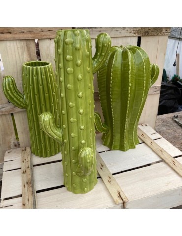 cactustrio sujet vert N9 2