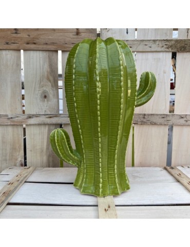 cactustrio sujet vert N9