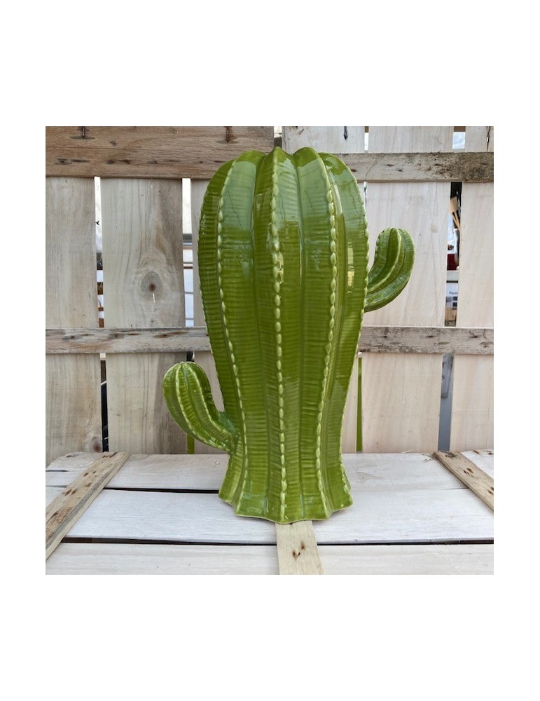 cactustrio sujet vert N9