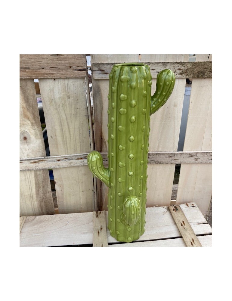 cactustrio sujet vert N10