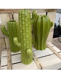 cactustrio sujet vert