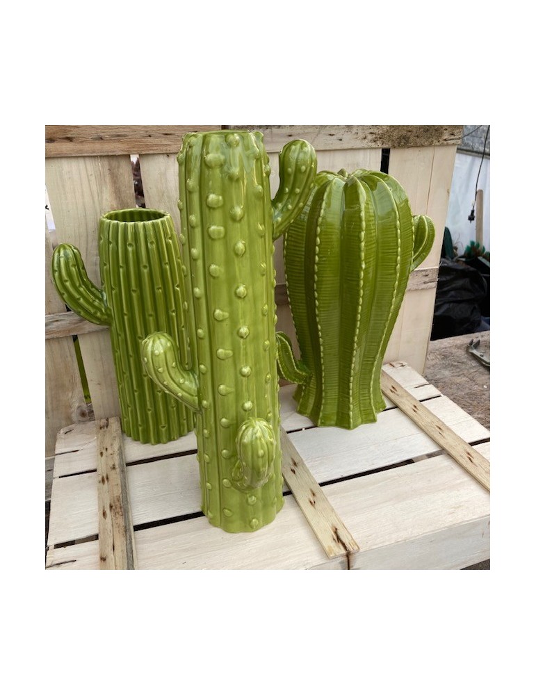 cactustrio sujet vert