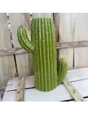 cactustrio sujet vert N11