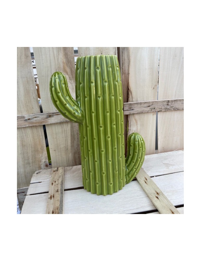 cactustrio sujet vert N11