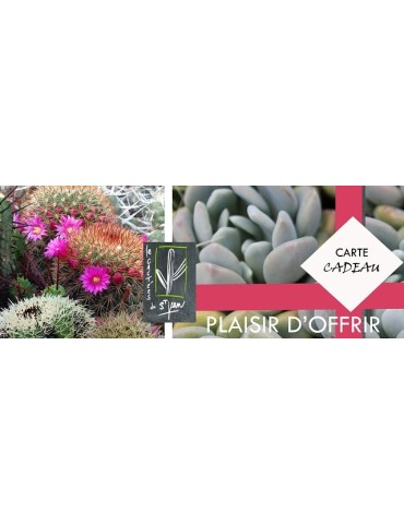 Carte cadeau personalisée 2