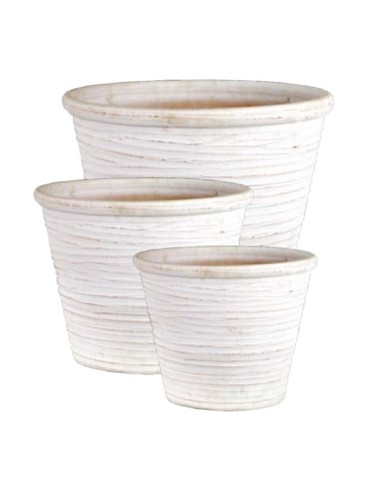 Cuvier Palmos Lisse 32 White