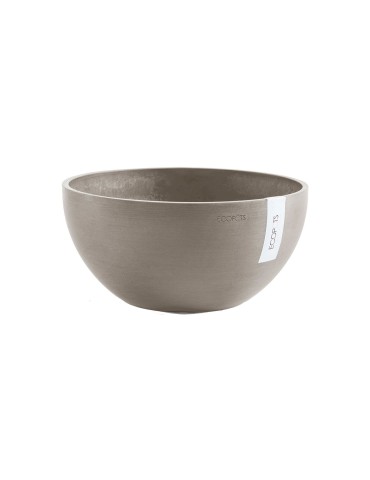 Coupe Brussels  25 cm 2