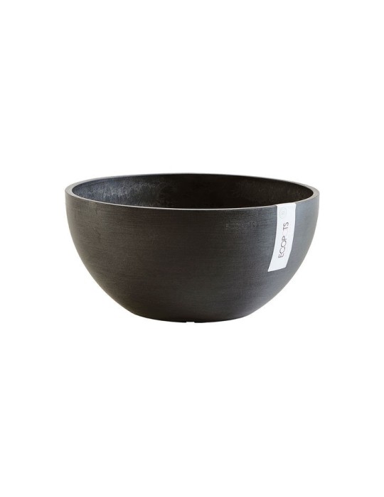 Coupe Brussels  30 cm