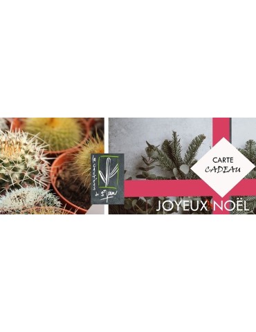 Carte Cadeau
