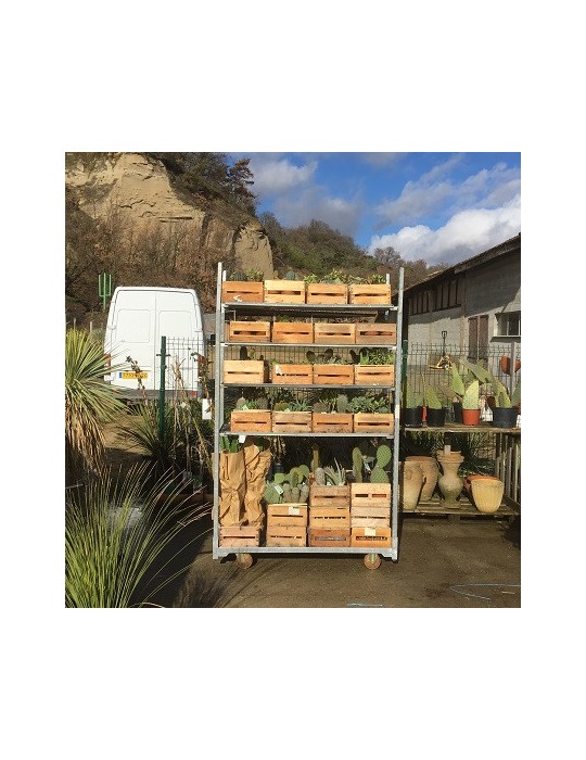 Supplément livraison