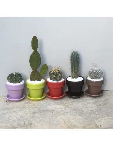 Cache pot carre 8x8