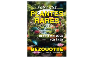 rendez vous à venir